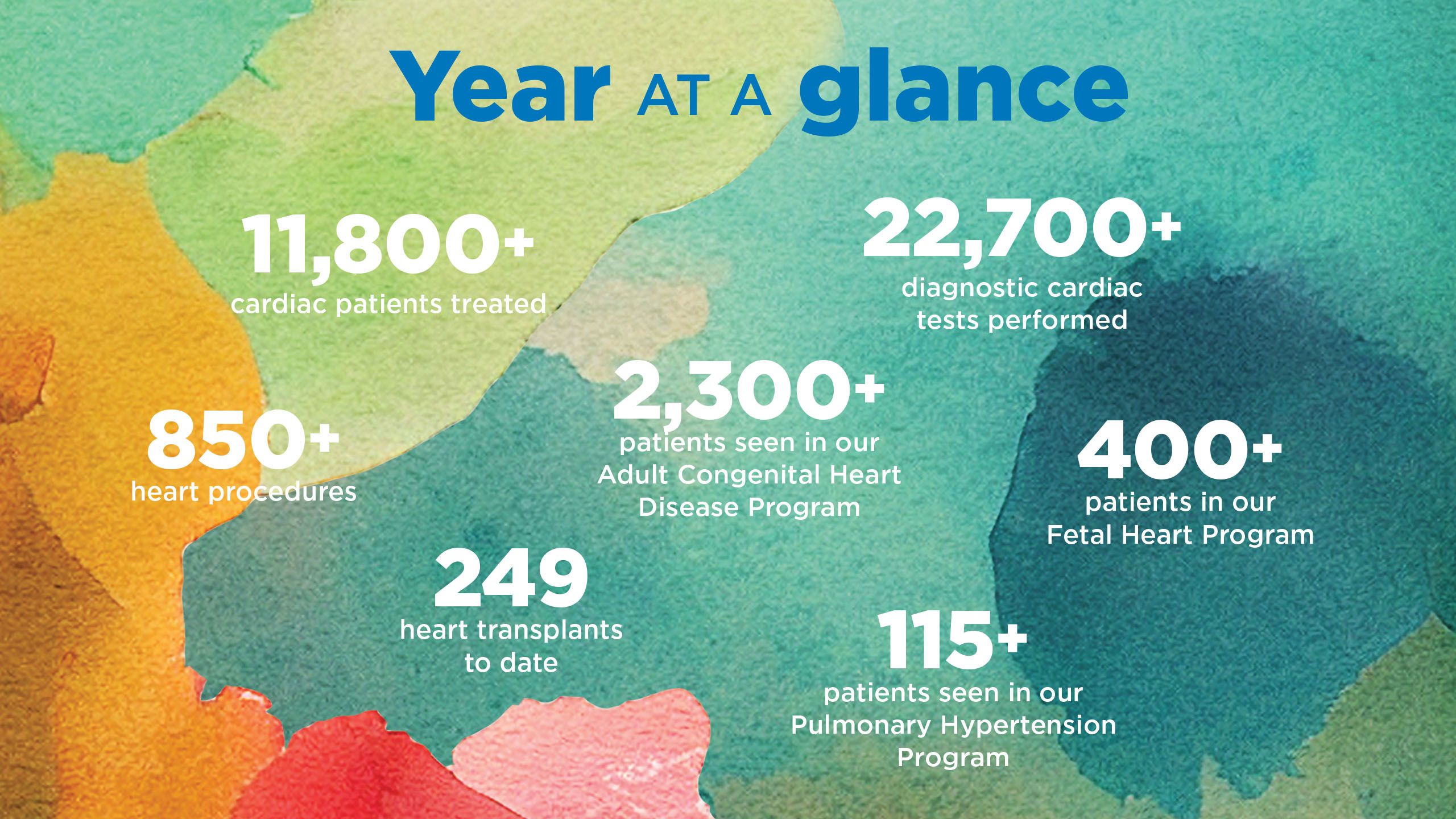 Year at a glance -- statistics from the year